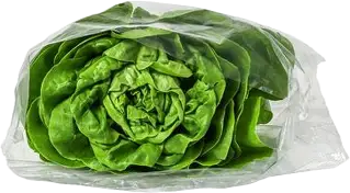 Lettuce Bags