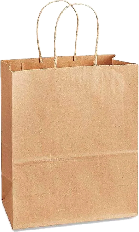 Twisted Handle Bag