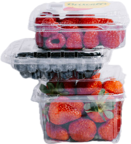 Punnet (1)